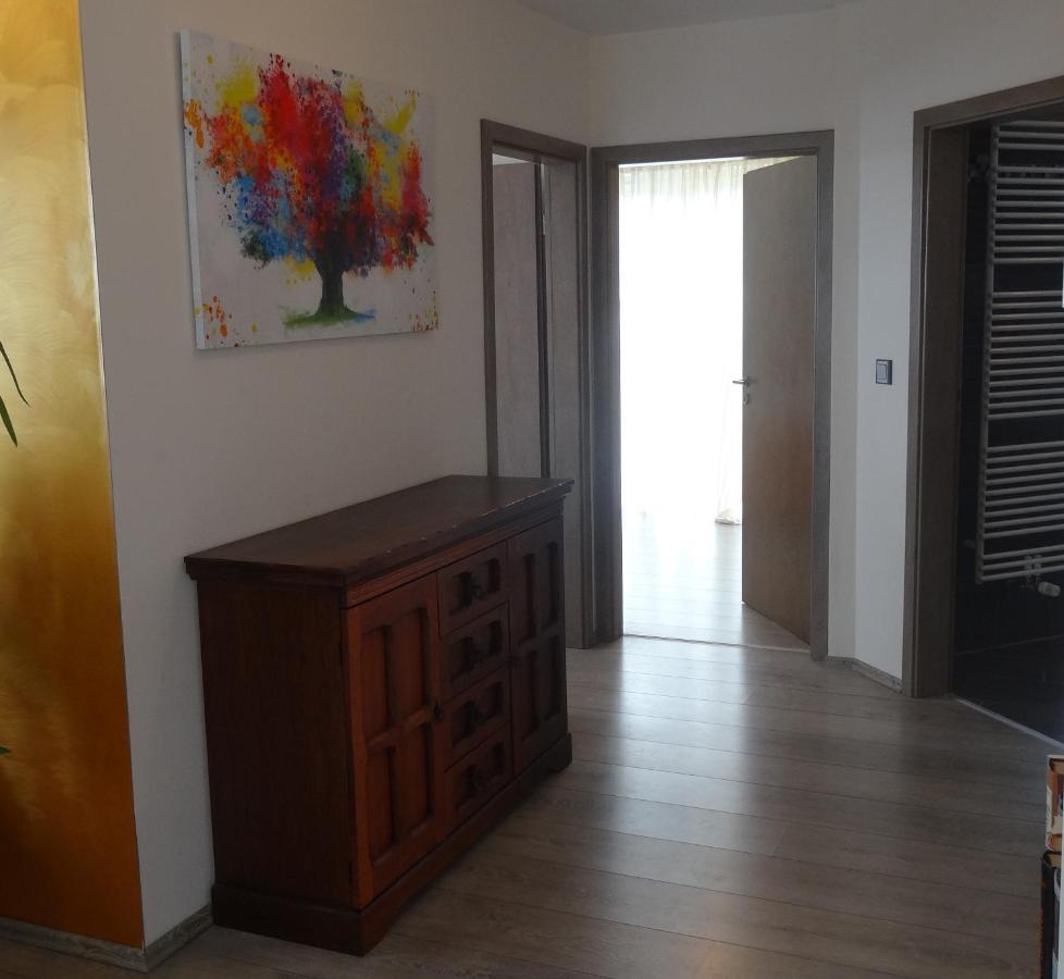 Ferienwohnung Schwarzwald-Baar Blick Donaueschingen Exteriér fotografie
